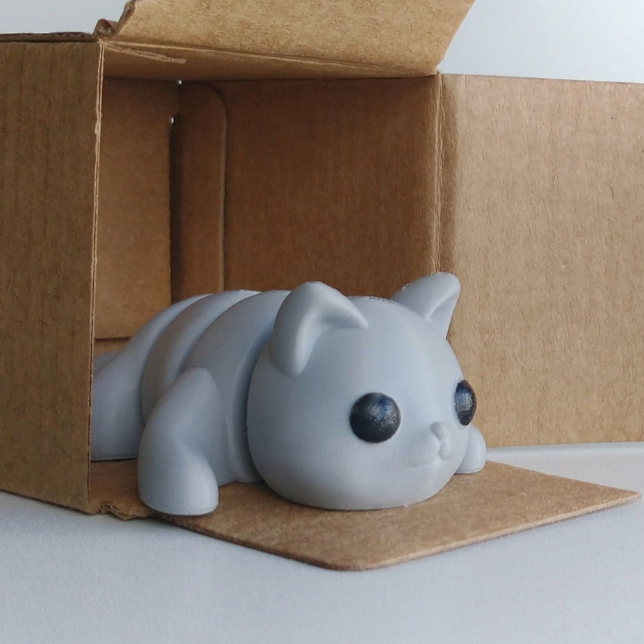 Baby Cat