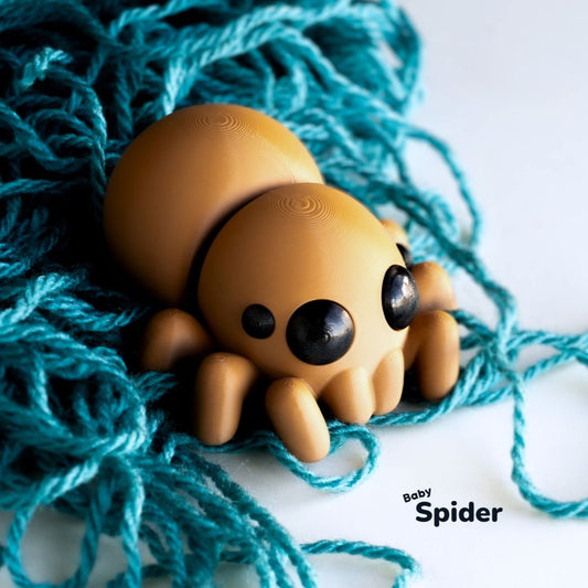 Baby Spider
