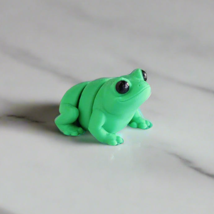 Baby Frog