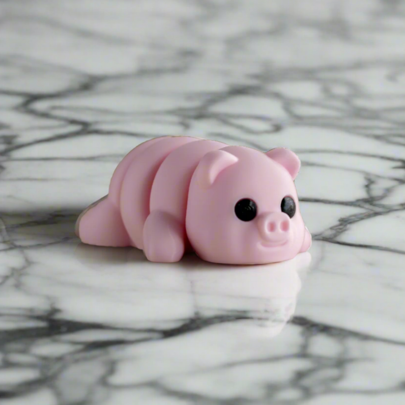 Baby Pig