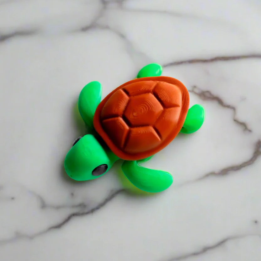 Baby Turtle