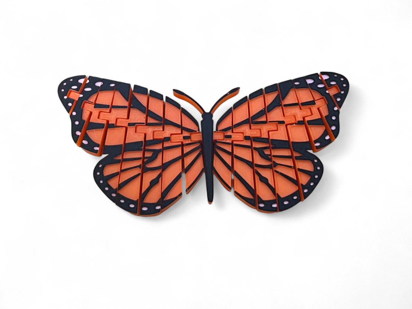🦋 Monarch Butterfly